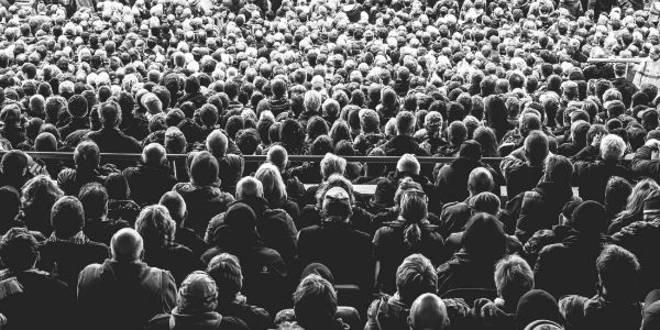 The Crowd