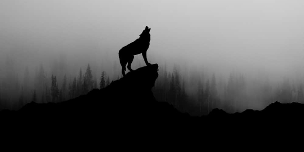 Death Prowls at Night